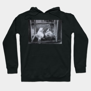 Two Cats Stick Together Hoodie
